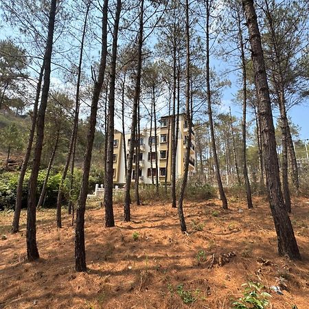 Xtsy Travellers Hostel Shillong Exterior photo